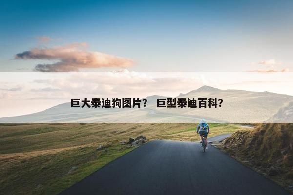 巨大泰迪狗图片？ 巨型泰迪百科？