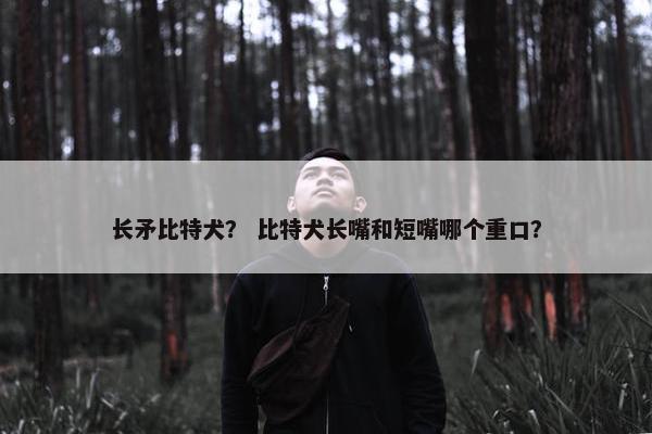 长矛比特犬？ 比特犬长嘴和短嘴哪个重口？