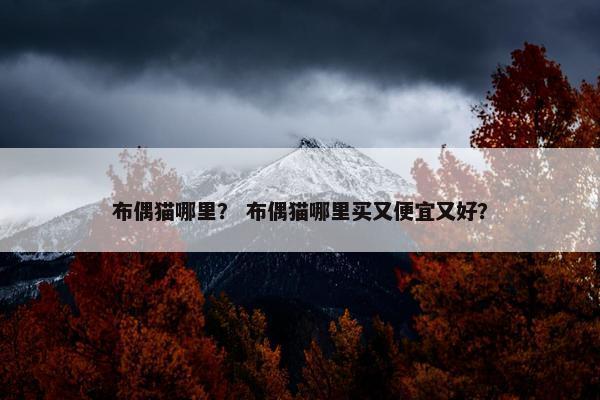 布偶猫哪里？ 布偶猫哪里买又便宜又好？