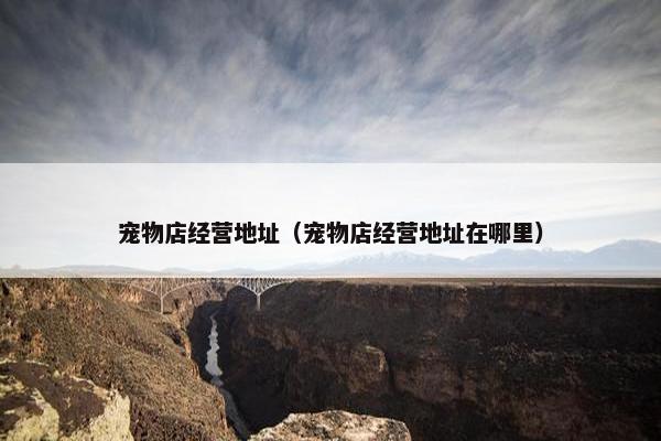 宠物店经营地址（宠物店经营地址在哪里）