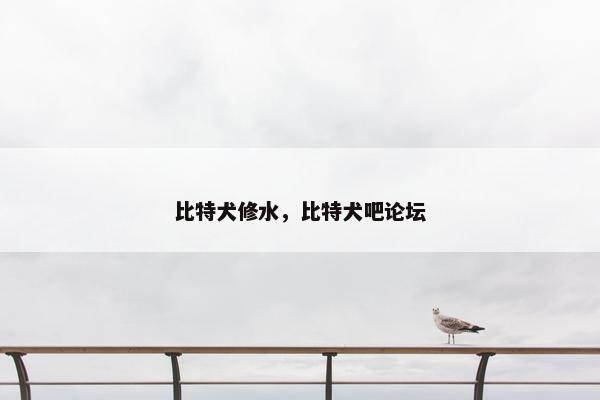 比特犬修水，比特犬吧论坛