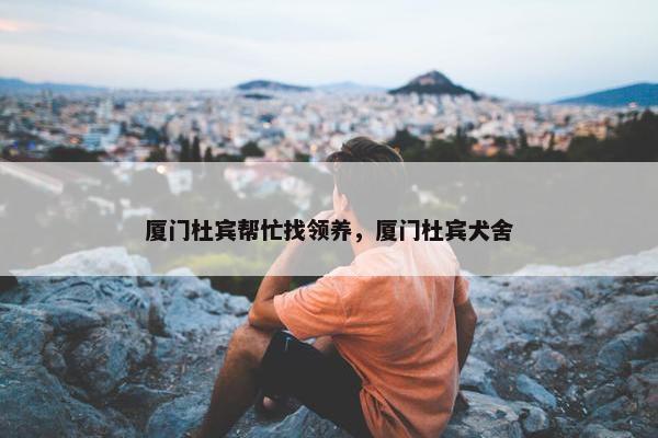 厦门杜宾帮忙找领养，厦门杜宾犬舍