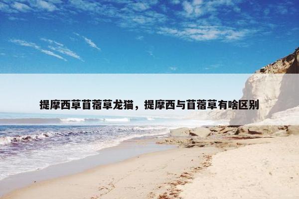 提摩西草苜蓿草龙猫，提摩西与苜蓿草有啥区别