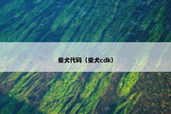 柴犬代码（柴犬cdk）