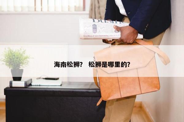 海南松狮？ 松狮是哪里的？