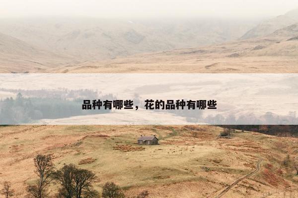 品种有哪些，花的品种有哪些