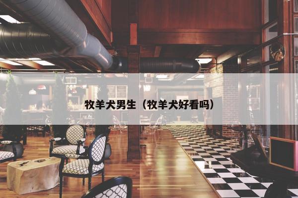 牧羊犬男生（牧羊犬好看吗）