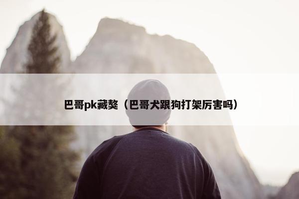 巴哥pk藏獒（巴哥犬跟狗打架厉害吗）