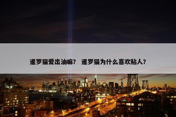 暹罗猫爱出油嘛？ 暹罗猫为什么喜欢粘人？