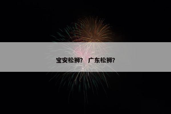 宝安松狮？ 广东松狮？