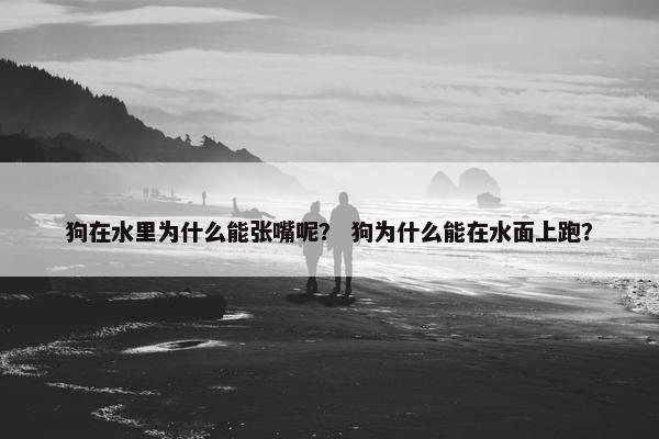 狗在水里为什么能张嘴呢？ 狗为什么能在水面上跑？