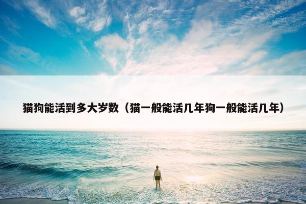 猫狗能活到多大岁数（猫一般能活几年狗一般能活几年）