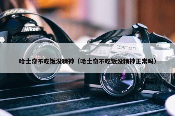 哈士奇不吃饭没精神（哈士奇不吃饭没精神正常吗）