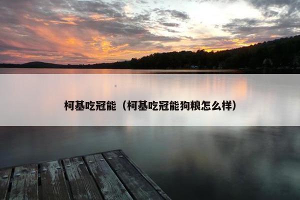 柯基吃冠能（柯基吃冠能狗粮怎么样）