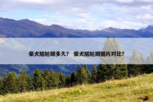 柴犬尴尬期多久？ 柴犬尴尬期图片对比？