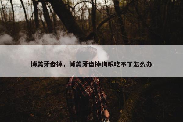 博美牙齿掉，博美牙齿掉狗粮吃不了怎么办