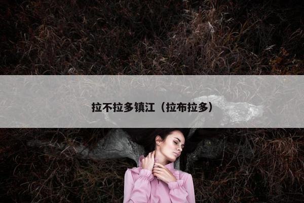 拉不拉多镇江（拉布拉多）