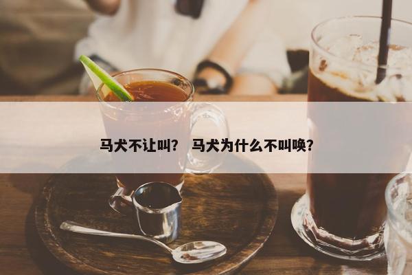 马犬不让叫？ 马犬为什么不叫唤？