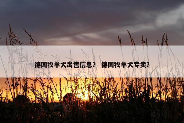 德国牧羊犬出售信息？ 德国牧羊犬专卖？