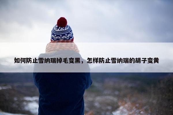 如何防止雪纳瑞掉毛变黑，怎样防止雪纳瑞的胡子变黄