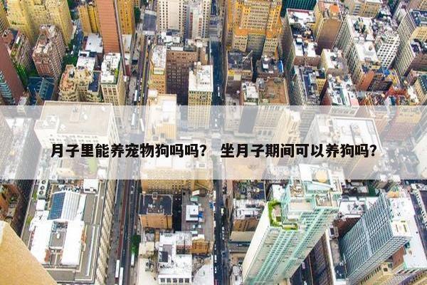 月子里能养宠物狗吗吗？ 坐月子期间可以养狗吗？
