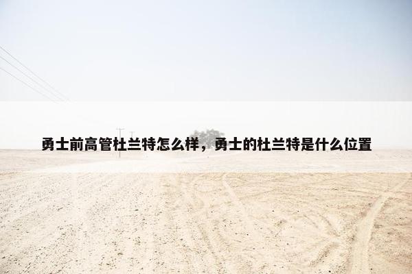 勇士前高管杜兰特怎么样，勇士的杜兰特是什么位置