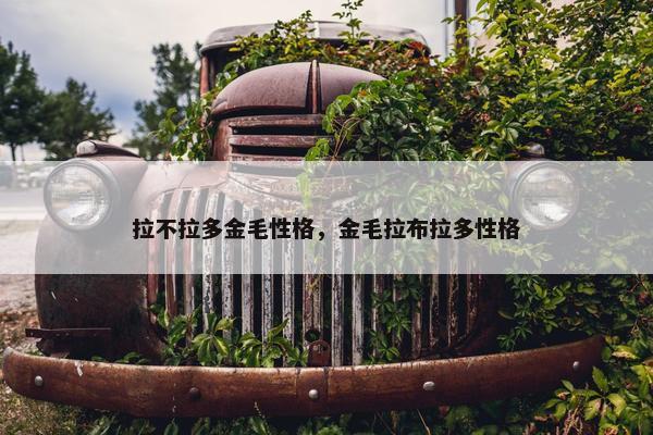 拉不拉多金毛性格，金毛拉布拉多性格