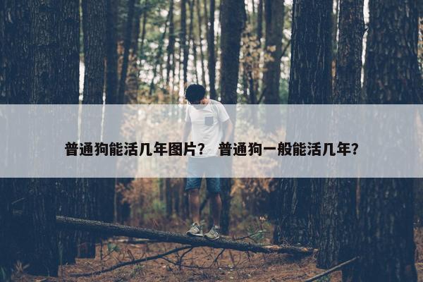 普通狗能活几年图片？ 普通狗一般能活几年？