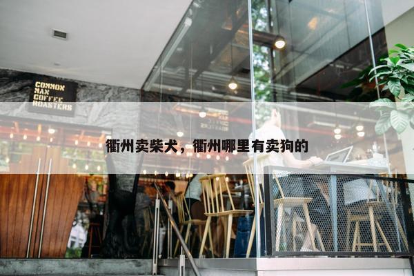 衢州卖柴犬，衢州哪里有卖狗的