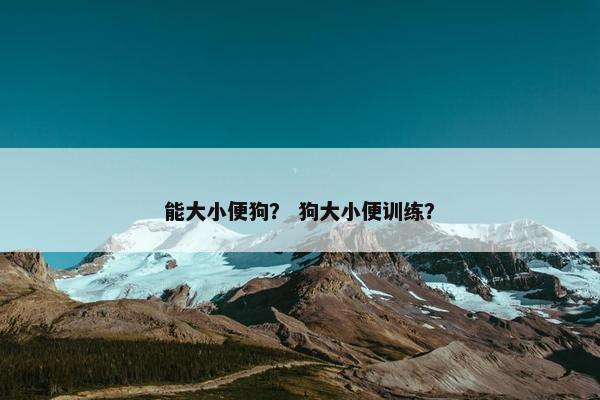 能大小便狗？ 狗大小便训练？