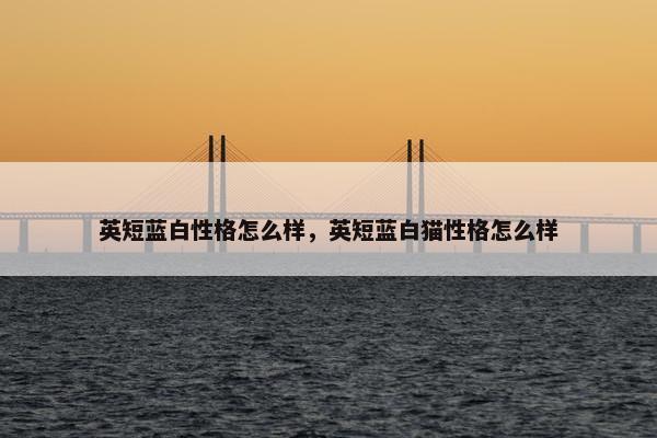 英短蓝白性格怎么样，英短蓝白猫性格怎么样