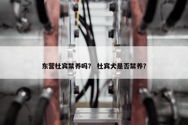 东营杜宾禁养吗？ 杜宾犬是否禁养？
