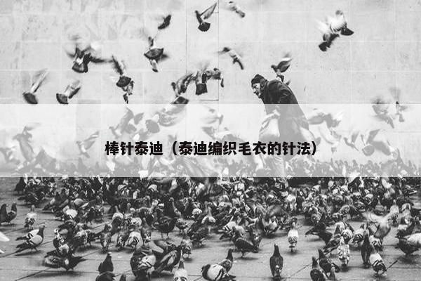 棒针泰迪（泰迪编织毛衣的针法）