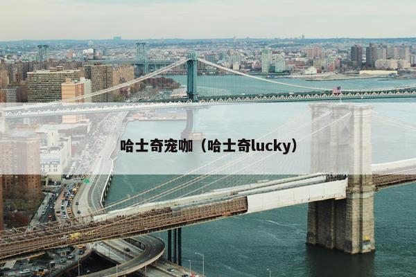 哈士奇宠咖（哈士奇lucky）