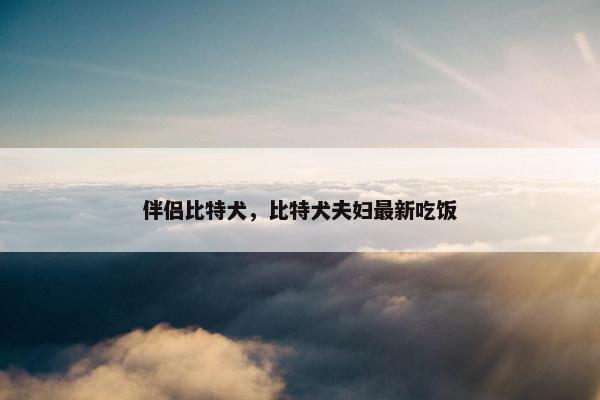 伴侣比特犬，比特犬夫妇最新吃饭