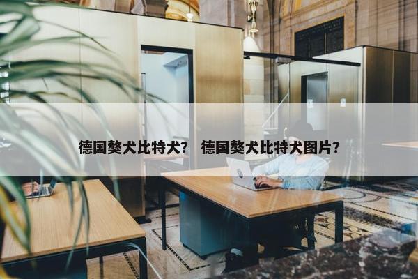 德国獒犬比特犬？ 德国獒犬比特犬图片？