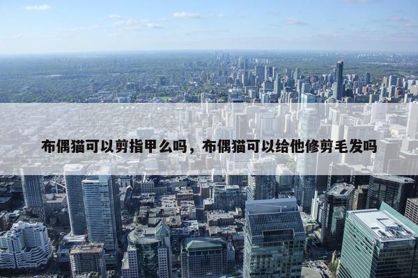 布偶猫可以剪指甲么吗，布偶猫可以给他修剪毛发吗