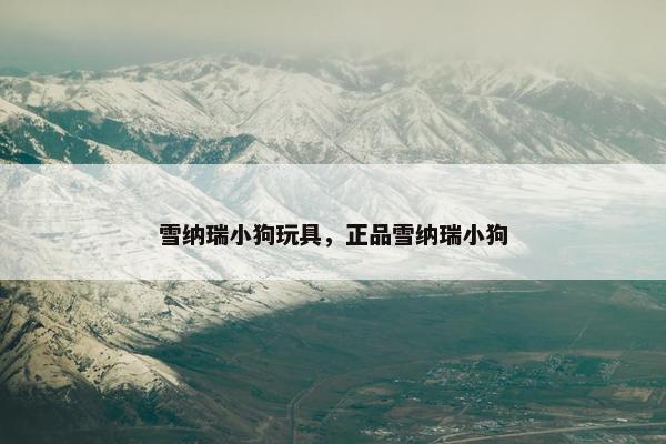 雪纳瑞小狗玩具，正品雪纳瑞小狗
