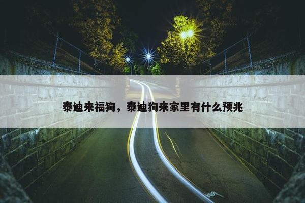 泰迪来福狗，泰迪狗来家里有什么预兆