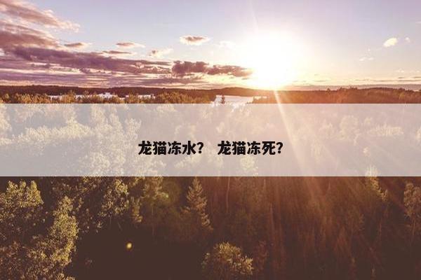 龙猫冻水？ 龙猫冻死？