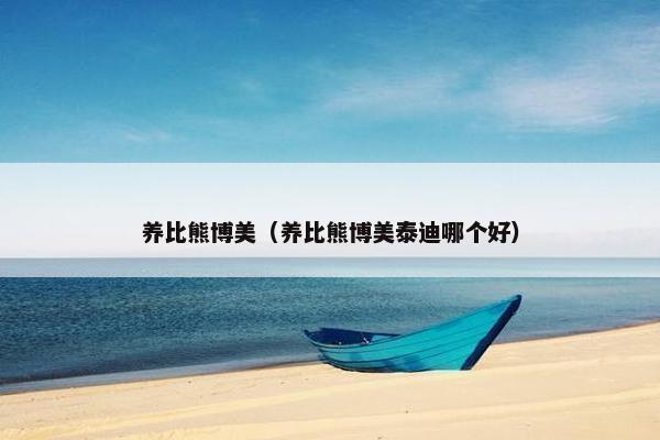 养比熊博美（养比熊博美泰迪哪个好）