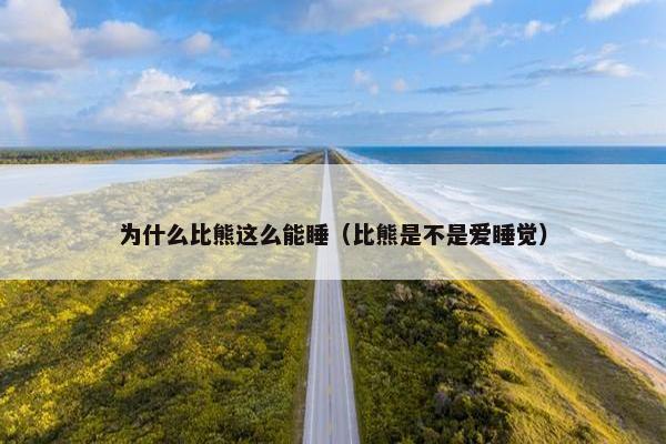 为什么比熊这么能睡（比熊是不是爱睡觉）