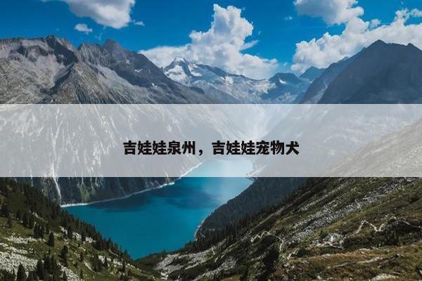吉娃娃泉州，吉娃娃宠物犬