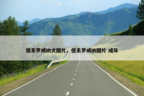 德系罗威纳犬图片，德系罗威纳图片 成年