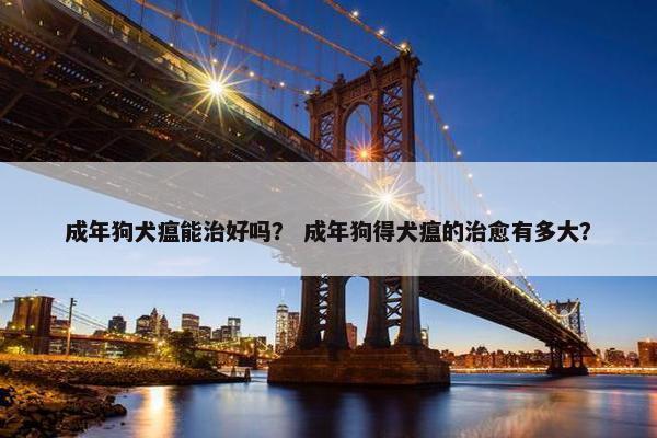 成年狗犬瘟能治好吗？ 成年狗得犬瘟的治愈有多大？