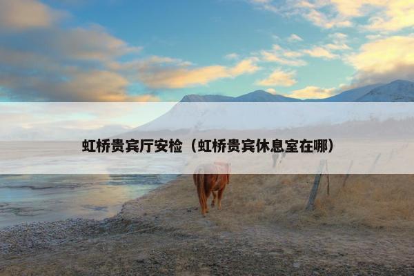 虹桥贵宾厅安检（虹桥贵宾休息室在哪）