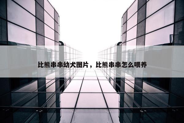 比熊串串幼犬图片，比熊串串怎么喂养
