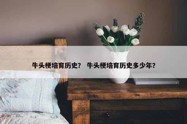 牛头梗培育历史？ 牛头梗培育历史多少年？