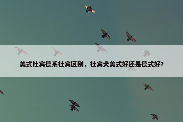 美式杜宾德系杜宾区别，杜宾犬美式好还是德式好?