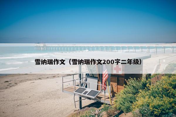 雪纳瑞作文（雪纳瑞作文200字二年级）